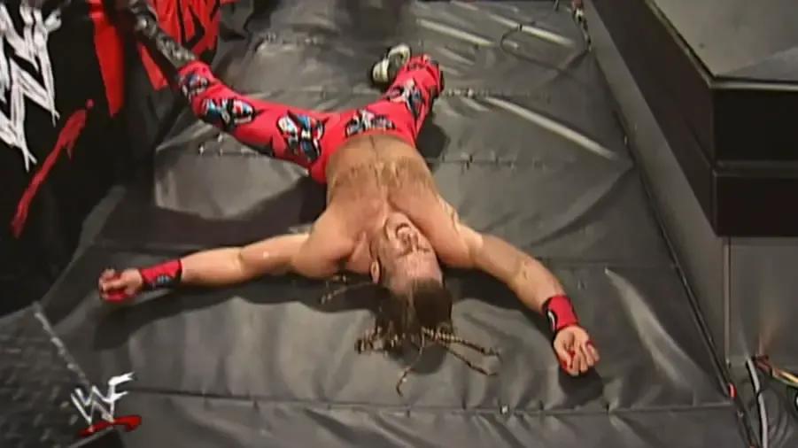 11231 shawn michaels