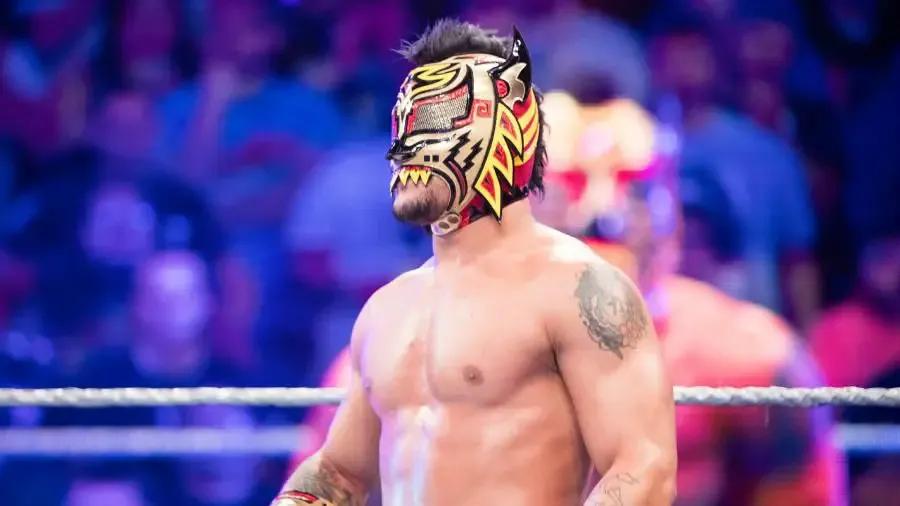 Lince Dorado
