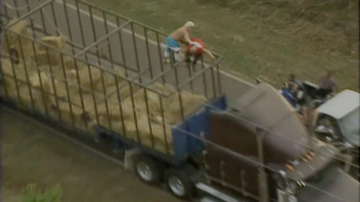 Dustin Rhodes and Blacktop Bully fight in a caged truck filled with hay 
