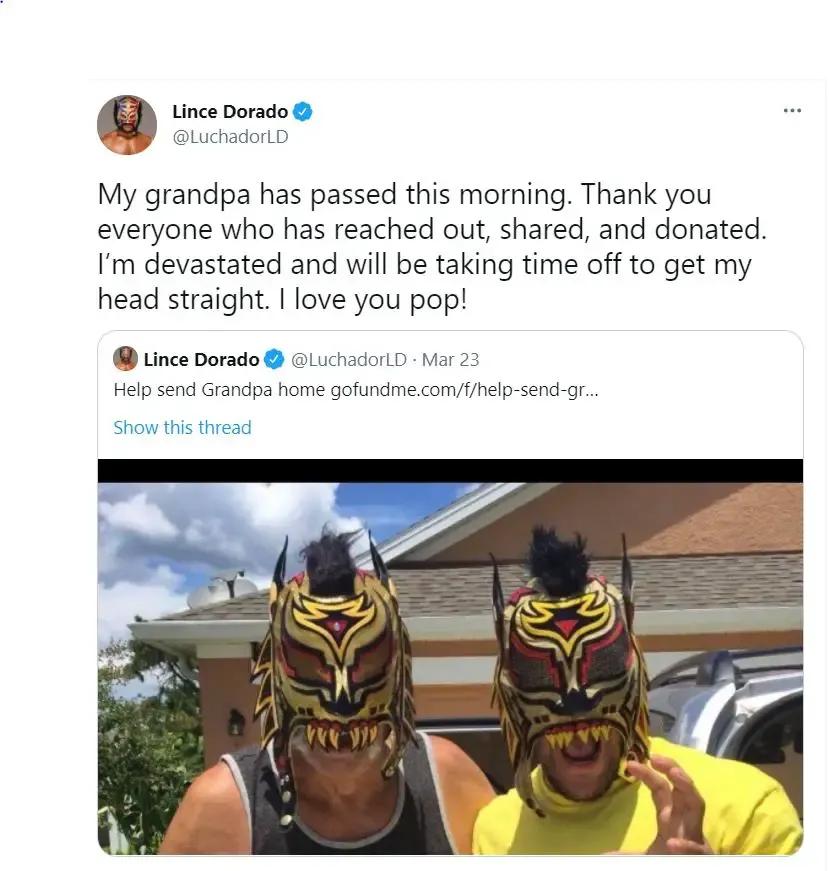 Lince dorado tweet