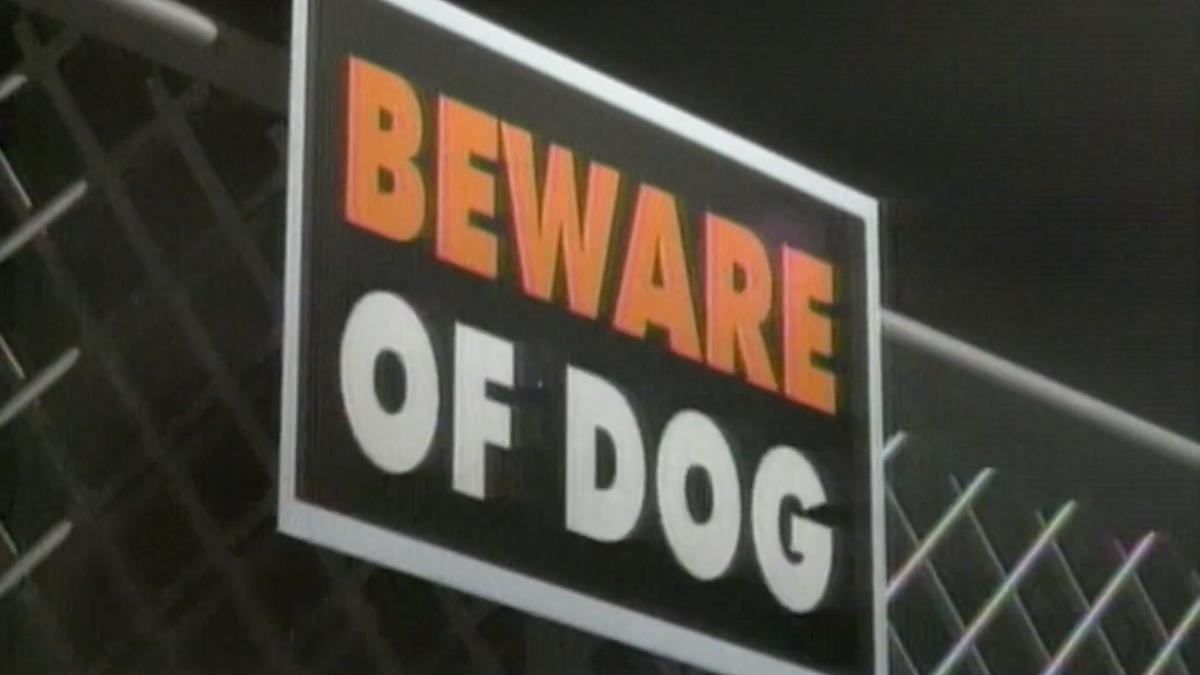 Logo for WWE In Your House 8: Beware of Dog
