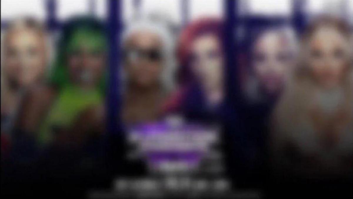 Blurred graphic for WWE Elimination Chamber 2024