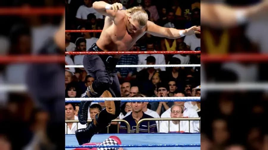 https://cultaholic.com/files/images/0ce8f73bc4ed4818d2754df9dfc0562763226d5b-hunter-hearst-helmsley-summerslam-1995-triple-h.jpg