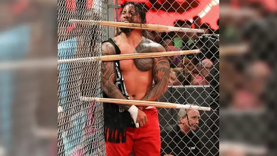 https://cultaholic.com/files/images/428e86979dce3ca8589a2e086f3d87cea7eb110b-uso-hell-in-a-cell.jpg
