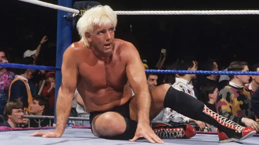 https://cultaholic.com/files/images/a761ac10d2b74be553ac98fd05296f51092d1697-Royal-Rumble-1992.jpg