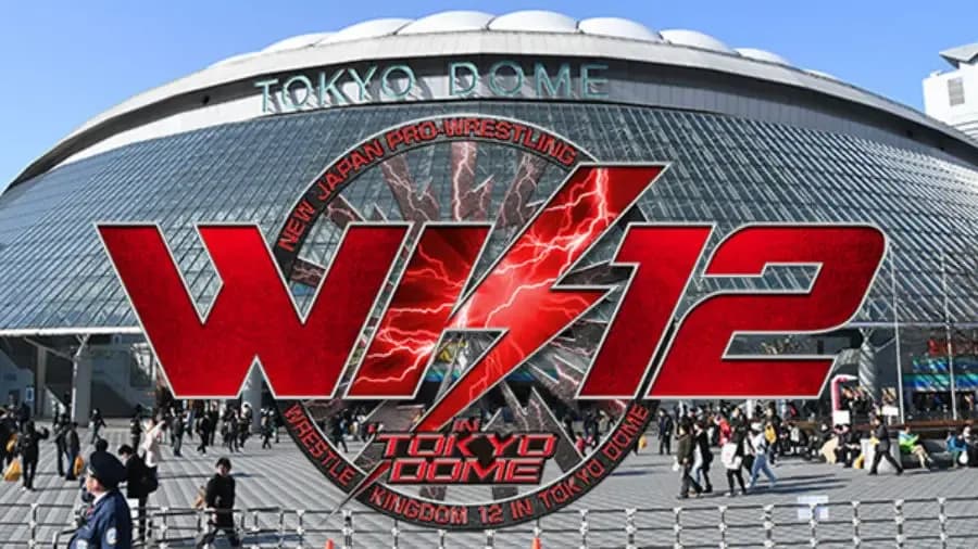 https://cultaholic.com/files/images/dc06323766048198e887fa8123b05896d76c620e-Wrestle-Kingdom-12.jpg