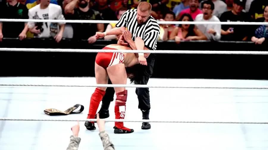 https://cultaholic.com/files/images/eb19a019995d7850d4457a37a9a1fce8cffbf8c7-triple-h-daniel-bryan-summerslam-2013.jpg