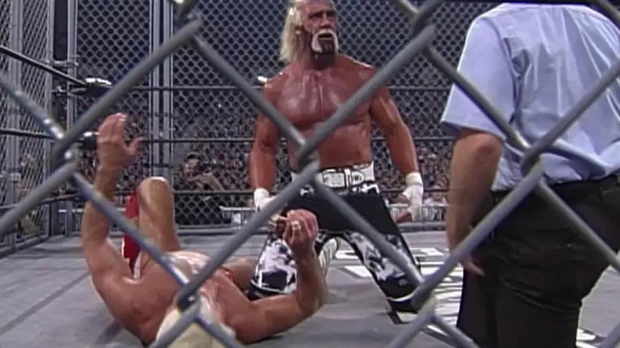 https://cultaholic.com/files/images/1d5c50bb3c21a24d2eda58ec19a20dfd20df2d6d-ric-flar-hollywood-hulk-hogan-uncensored-1999.jpg