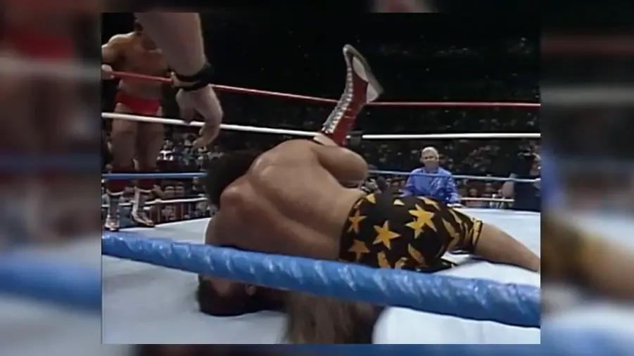 https://cultaholic.com/files/images/89877f85a2c09e9653445e8482434135aeec963b-dynamite-kid-wild-samoans-elimination-survivor-series-1987.jpg